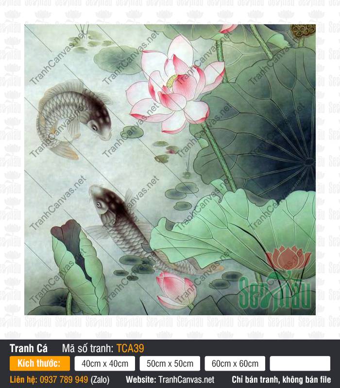 Hình Ảnh Cá Chép Phong Thủy TCA39 Hình Ảnh Cá Chép Phong Thủy TCA39 bơi lượn uyển chuyển dưới khóm hoa sen hồng