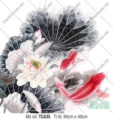 Hình Cá Chép TCA35, Đường Nét Cá Chép Vờn Nước Rực Rỡ