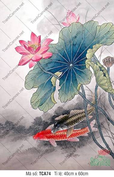 In Hình Cá Chép TCA74, Vẻ Đẹp Song Ngư Dưới Tán Sen