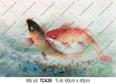 Tranh Cá Chép Trong Phong Thủy TCA30, vẻ đẹp đôi cá bơi lội