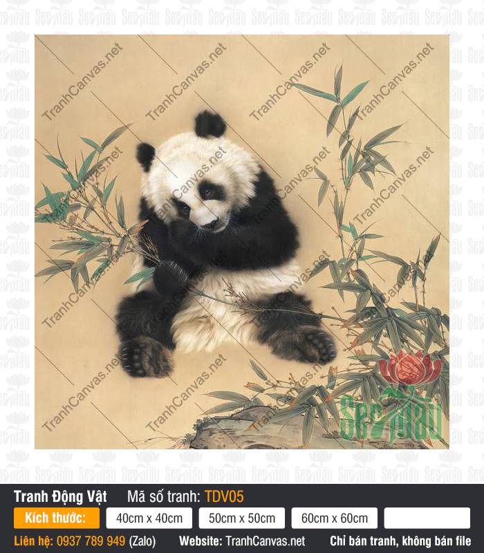 Bức Tranh Con Gấu Trúc TDV05 Bức Tranh Con Gấu Trúc TDV05 tả chú gấu trúc ngồi ôm nhành trúc xanh