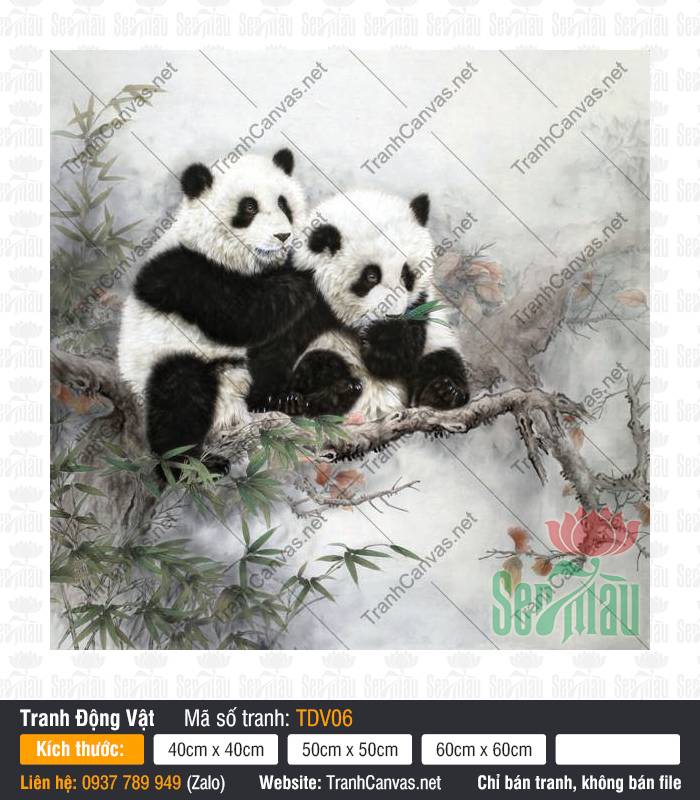 Tranh 2 Con Gấu Trúc TDV06 Tranh 2 Con Gấu Trúc TDV06 phác họa đôi gấu trúc trên cành cây cổ thụ