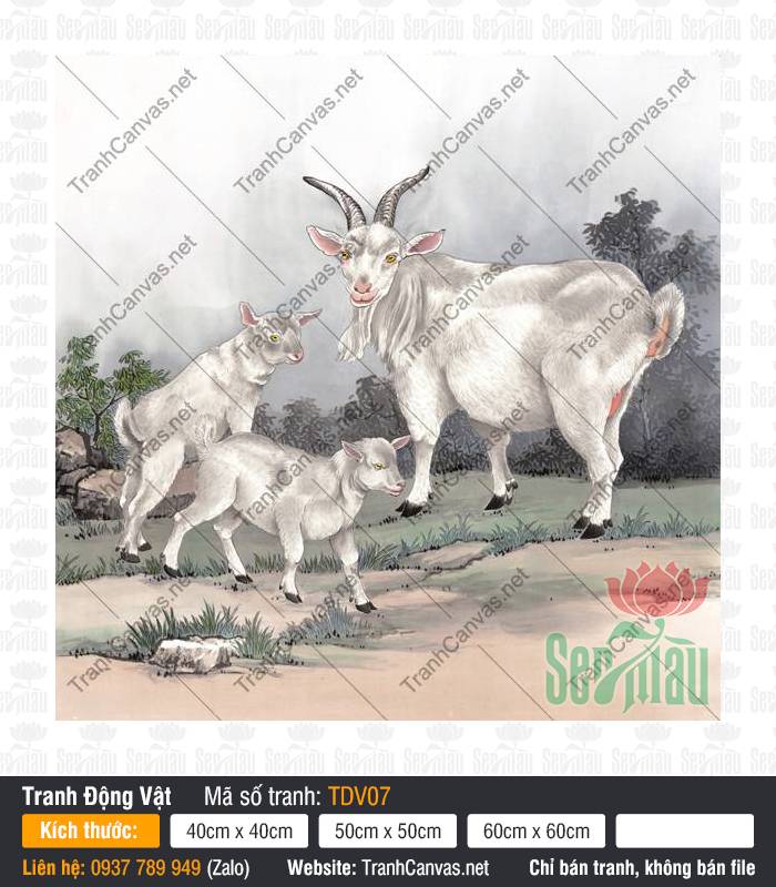 Tranh 3 Con Dê TDV07 Tranh 3 Con Dê TDV07 tả ba chú dê trắng trên thảm cỏ xanh