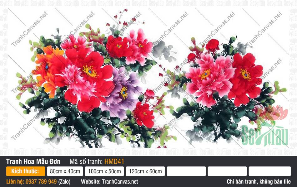 Hình Hoa Mẫu Đơn Đẹp HMD41 Hình Hoa Mẫu Đơn Đẹp HMD41 vẽ phong cách thủy mặc sắc đỏ hồng tinh tế