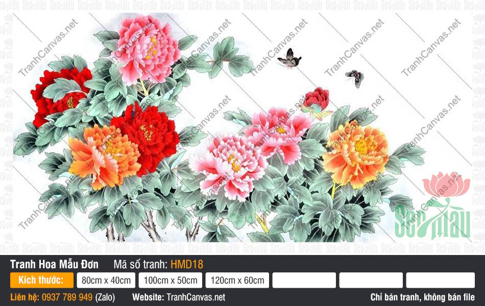 Hình Hoa Mẫu Đơn May Mắn HMD18 rực rỡ khoe sắc bên đôi bướm
