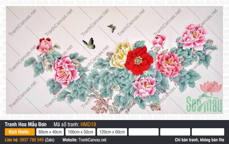 Hình Vẽ Hoa Mẫu Đơn Đẹp HMD19 Hình vẽ hoa mẫu đơn đẹp HMD19 phác họa khóm hoa rực rỡ cùng đôi bướm