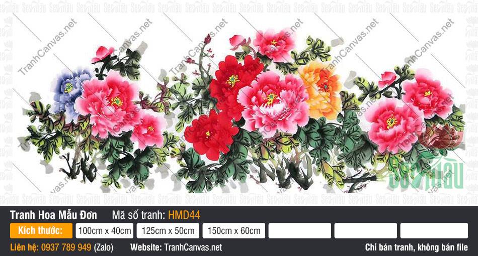 Hình Vẽ Hoa Mẫu Đơn Đẹp HMD44 Hình vẽ hoa mẫu đơn đẹp tinh tế với phong cách thủy mặc đơm hoa đa sắc