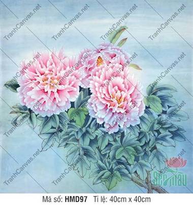 Hình Ảnh Hoa Mẫu Đơn Hồng HMD97, đôi đóa hoa hồng phấn nền xanh lam Hình Ảnh Hoa Mẫu Đơn Hồng HMD97, đôi đóa hoa hồng phấn nền xanh lam