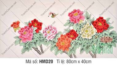 Hình Ảnh Hoa Mẫu Đơn May Mắn HMD20, Vẻ Đẹp Ngũ Sắc Rực Rỡ Hình Ảnh Hoa Mẫu Đơn May Mắn HMD20, Vẻ Đẹp Ngũ Sắc Rực Rỡ