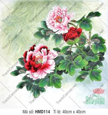 Hình Hoa Mẫu Đơn Đẹp HMD114, Sắc Hồng Đỏ Nở Rộ Kiều Diễm Hình Hoa Mẫu Đơn Đẹp HMD114, Sắc Hồng Đỏ Nở Rộ Kiều Diễm