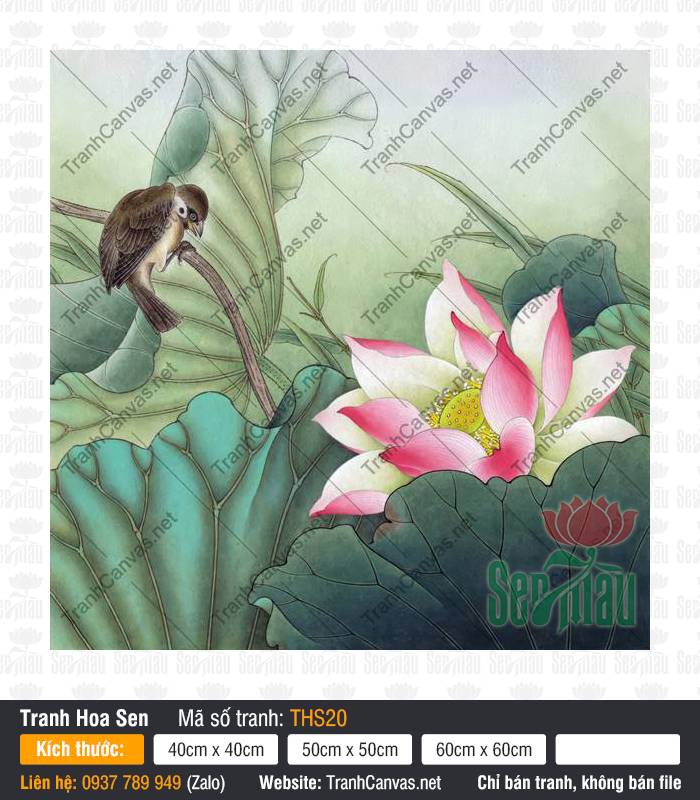 Bức Tranh Hoa Sen THS20 Bức Tranh Hoa Sen THS20 tả thực đóa sen hồng và chú chim đậu cành lá