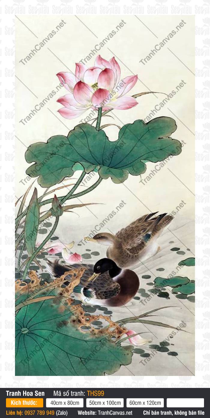 Hình Ảnh Hoa Sen Đẹp THS99 Bức Hình Ảnh Hoa Sen Đẹp THS99 phác họa đôi vịt uyên ương bơi lội bên đầm sen