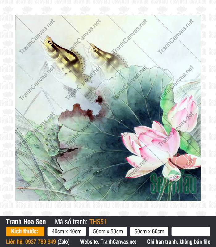 Hình Ảnh Tranh Hoa Sen Đẹp THS51 Tác phẩm Hình Ảnh Tranh Hoa Sen Đẹp THS51 với đóa sen hồng bên đôi cá bơi lội