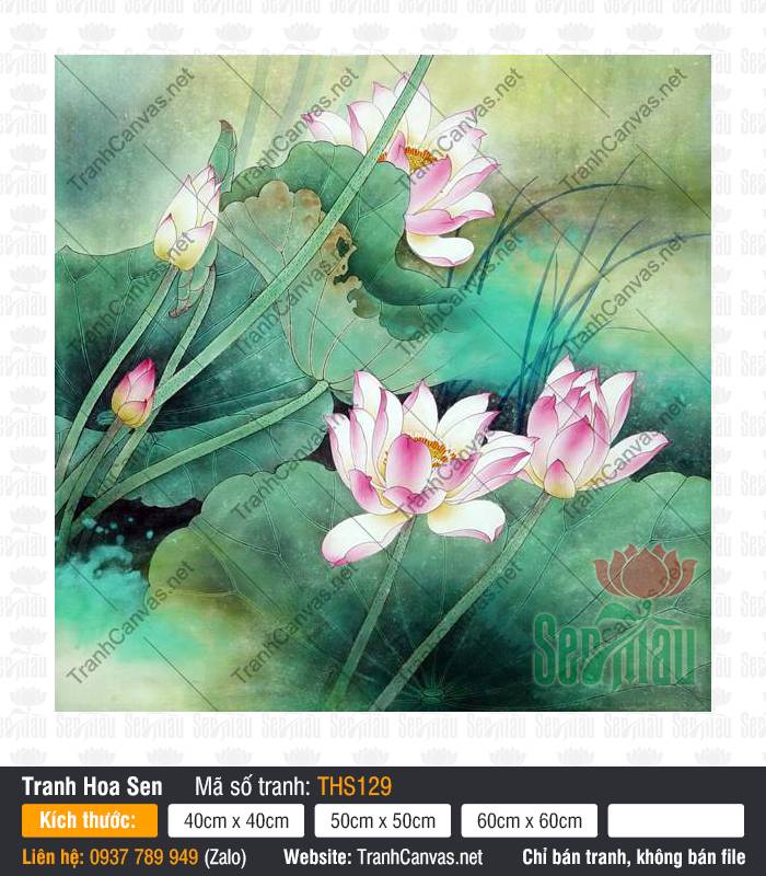 Hình Hoa Sen Đẹp THS129 Hình Hoa Sen Đẹp THS129 thể hiện đóa sen hồng nở rộ trên nền lá xanh mướt tinh tế