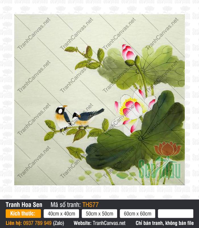 Hình Hoa Sen Nghệ Thuật THS77 Hình Hoa Sen Nghệ Thuật THS77 khoe sắc trắng phớt hồng bên đôi chim chao đậu trên cành