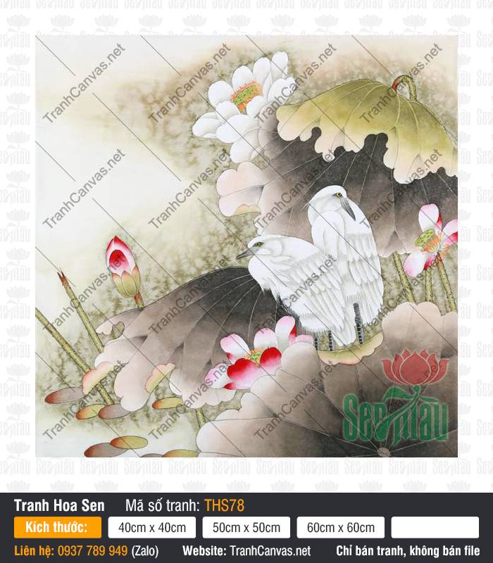 Hình Hoa Sen Trang Trí THS78 Bức Hình Hoa Sen Trang Trí THS78 phác họa đôi cò trắng dịu dàng bên đóa sen hồng