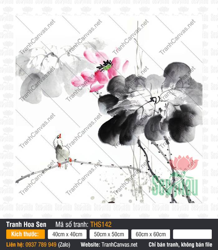 Hình Vẽ Hoa Sen Đẹp Nhất THS142 Hình vẽ hoa sen đẹp nhất THS142 vẽ sen hồng thủy mặc bên chim nhỏ