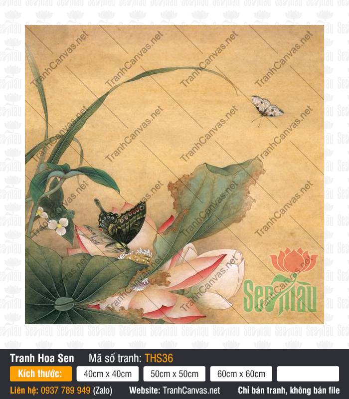Hình Vẽ Hoa Sen Đẹp Nhất THS36 Bức họa Hình Vẽ Hoa Sen Đẹp Nhất THS36 phong cách lụa cổ điển cùng cánh bướm