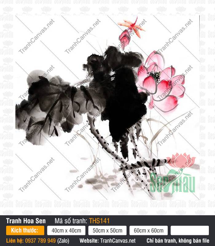Hình Vẽ Hoa Sen Đẹp THS141 Hình vẽ hoa sen đẹp phác họa đóa sen hồng và lá mực đen thủy mặc