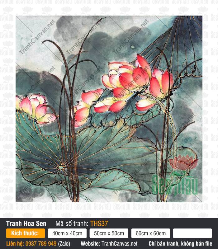 Mẫu Hình Hoa Sen Đẹp THS37 Mẫu Hình Hoa Sen Đẹp THS37 với sắc hồng nổi bật trên nền thủy mặc sương khói