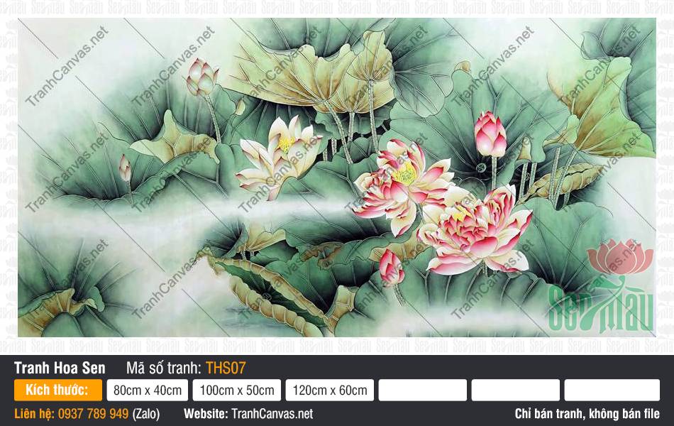 Tranh Hoa Sen Canvas THS07 Những đóa sen hồng rực rỡ vươn mình trong bức Tranh Hoa Sen Canvas THS07