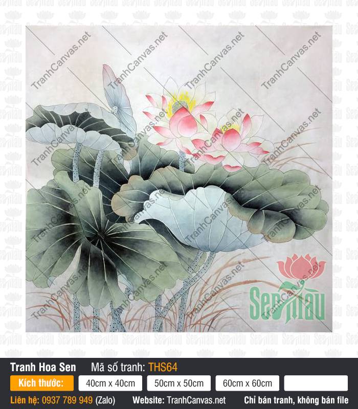 Tranh Hoa Sen Canvas THS64 Bức Tranh Hoa Sen Canvas THS64 khoe sắc hồng nở rộ giữa tán lá xanh