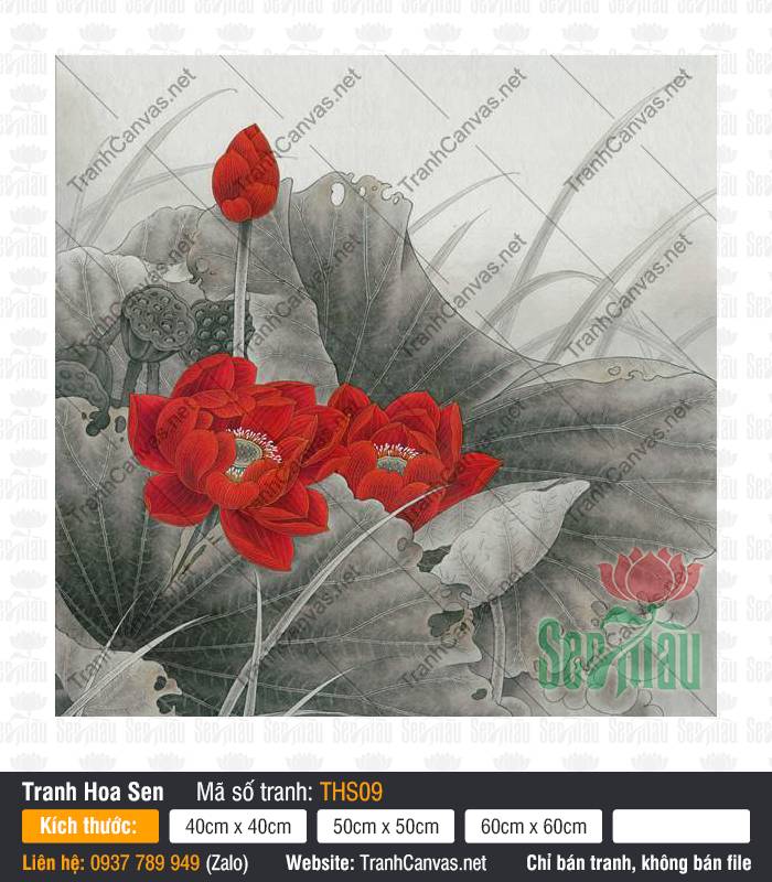 Tranh Hoa Sen Đỏ THS09 Sắc đỏ rực rỡ của đóa sen tương phản mảng lá xám trong Tranh Hoa Sen Đỏ THS09