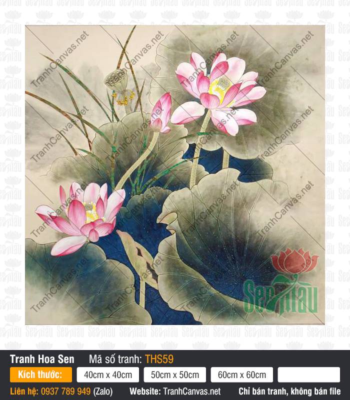 Tranh Hoa Sen THS59 Bức Tranh Hoa Sen THS59 khoe sắc hồng phớt rực rỡ giữa tán lá xanh lam