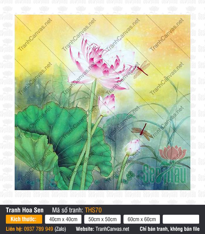 Tranh Hoa Sen Trang Trí Phòng Khách THS70 Tranh Hoa Sen Trang Trí Phòng Khách THS70 phác họa đóa sen hồng và đôi chuồn chuồn