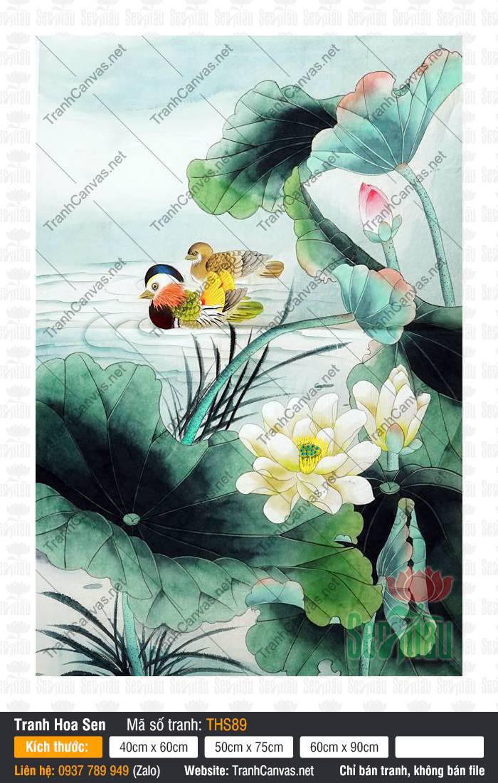 Tranh Treo Tường Phòng Khách Hoa Sen THS89 Bức Tranh Treo Tường Phòng Khách Hoa Sen THS89 phác họa cặp uyên ương bên đóa hoa trắng
