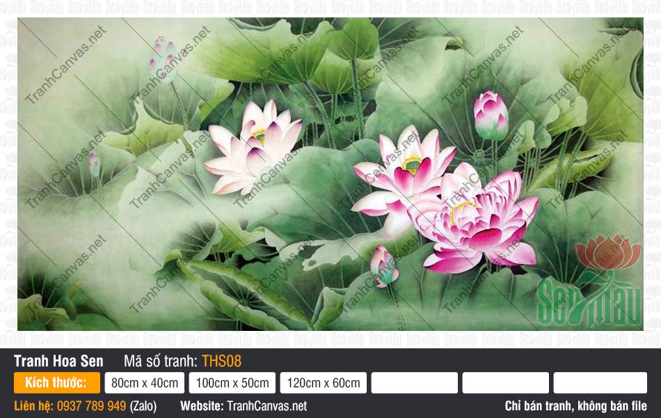 Tranh in Hoa Sen THS08 Vẻ đẹp rực rỡ của đóa sen hồng vươn mình trong Tranh in Hoa Sen THS08
