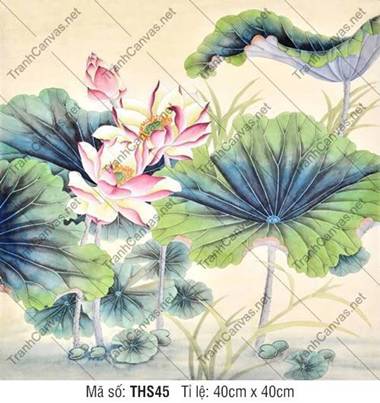 Hình Ảnh Hoa Sen Cực Đẹp THS45, nét vẽ màu nước thanh tao Hình Ảnh Hoa Sen Cực Đẹp THS45, nét vẽ màu nước thanh tao