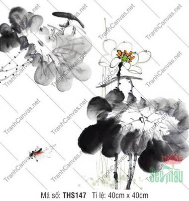 Hình Ảnh Hoa Sen Đẹp Nhất THS147, Nét Vẽ Thủy Mặc Tinh Tế Hình Ảnh Hoa Sen Đẹp Nhất THS147, Nét Vẽ Thủy Mặc Tinh Tế