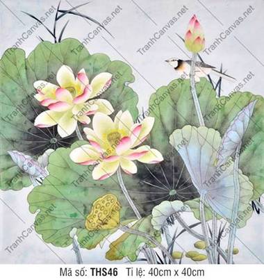 Hình Ảnh Hoa Sen Đẹp THS46, sức sống rực rỡ giữa tán lá xanh Hình Ảnh Hoa Sen Đẹp THS46, sức sống rực rỡ giữa tán lá xanh