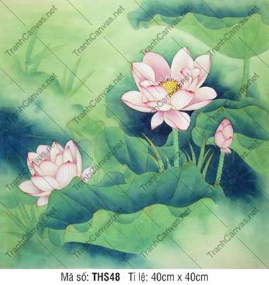 Hình Ảnh Hoa Sen Siêu Đẹp THS48, sắc hồng tươi rạng rỡ Hình Ảnh Hoa Sen Siêu Đẹp THS48, sắc hồng tươi rạng rỡ