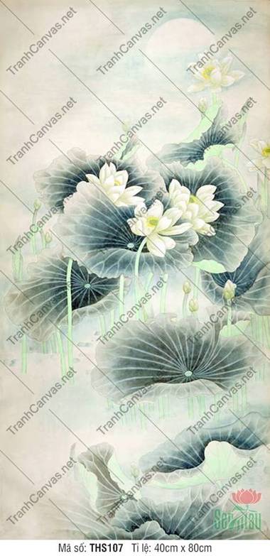 Hình Bông Hoa Sen Đẹp THS107, Dáng Sen Trắng Dưới Ánh Trăng Hình Bông Hoa Sen Đẹp THS107, Dáng Sen Trắng Dưới Ánh Trăng