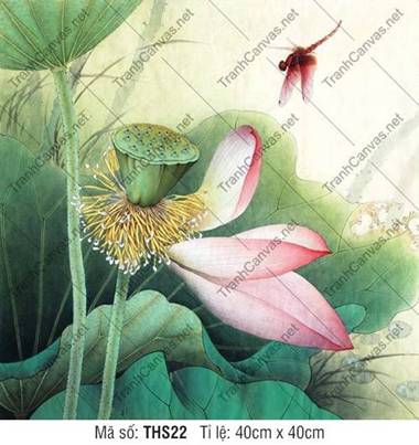 Hình Hoa Sen THS22, nét cọ thủy mặc đài sen và cánh chuồn Hình Hoa Sen THS22, nét cọ thủy mặc đài sen và cánh chuồn