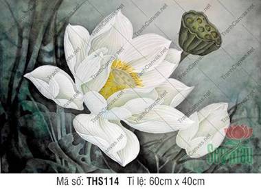 Hình Hoa Sen Trắng Đẹp THS114, Đóa Sen Tinh Khôi Nhị Vàng Hình Hoa Sen Trắng Đẹp THS114, Đóa Sen Tinh Khôi Nhị Vàng