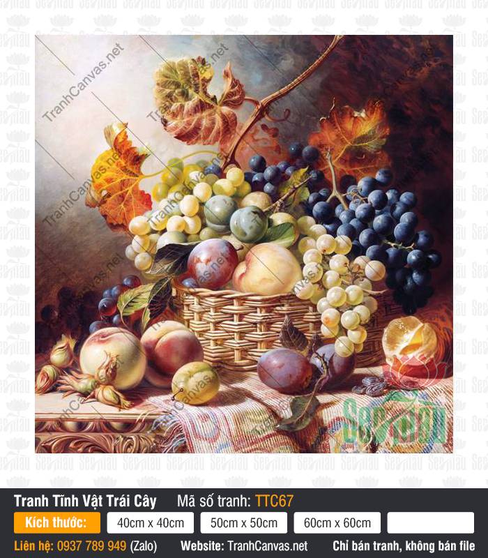 Tranh Tĩnh Vật Trái Cây TTC67 Tranh Tĩnh Vật Trái Cây miêu tả giỏ mây chứa chùm nho mọng tươi và quả mận chín