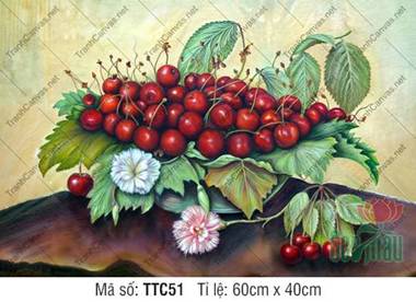 Tranh Tĩnh Vật Đơn Giản Đẹp TTC51, Vẻ Đẹp Chùm Anh Đào Mọng Đỏ
