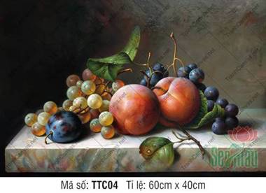 Tranh Tĩnh Vật Hoa Quả Đơn Giản TTC04, nghệ thuật tả thực cổ điển