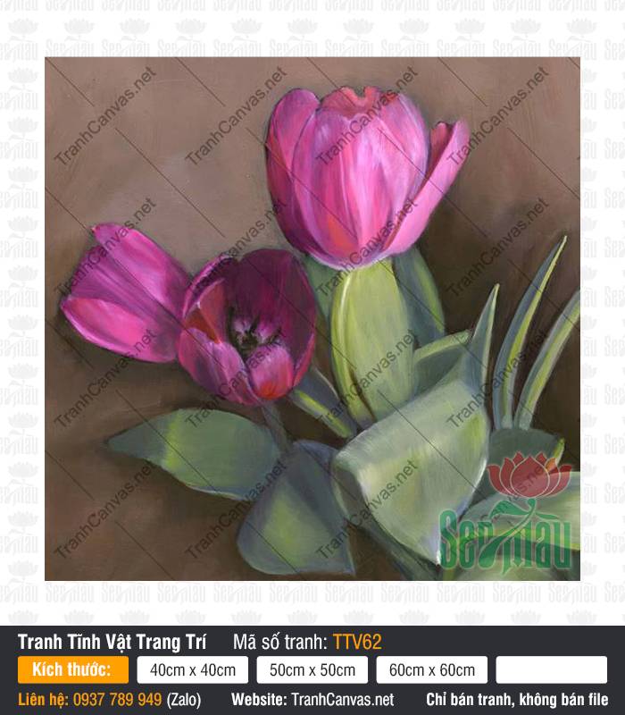 Tranh Hoa Tulip TTV62 Bức Tranh Hoa Tulip TTV62 khắc họa những bông tulip hồng tím nở rộ