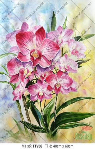 Tranh Hoa Lan Đẹp TTV56, Nhành Hoa Lan Hồng Tím Sáng Tươi Tranh Hoa Lan Đẹp TTV56, Nhành Hoa Lan Hồng Tím Sáng Tươi