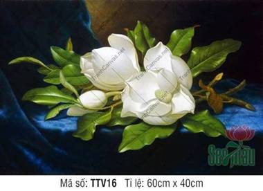 Tranh In Tĩnh Vật TTV16, Đóa Hoa Mộc Lan Trắng Trên Nền Lụa Xanh